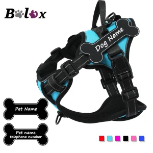 Personalized Dog Harness