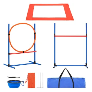 Dog Agility Training Equipment