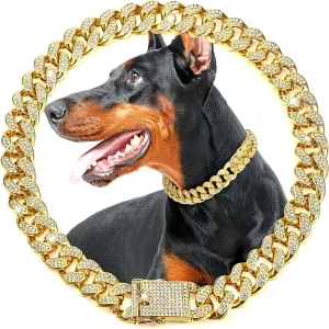 Dog Chain Collar