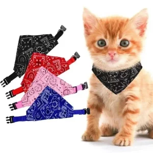 Adjustable Pet Collar/Bandana