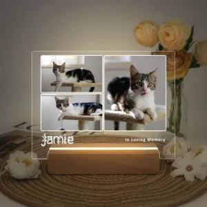 Custom Pet Memorial Plaque