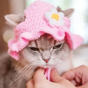 Pet Hat with Floral Trim